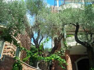 Апартаменты Levantin Inn 1/2 Apt N.15 Свети-Стефан Апартаменты-7